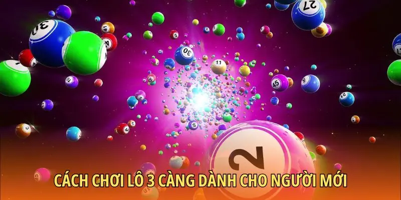 Cách chơi lô 3 càng dành cho người mới