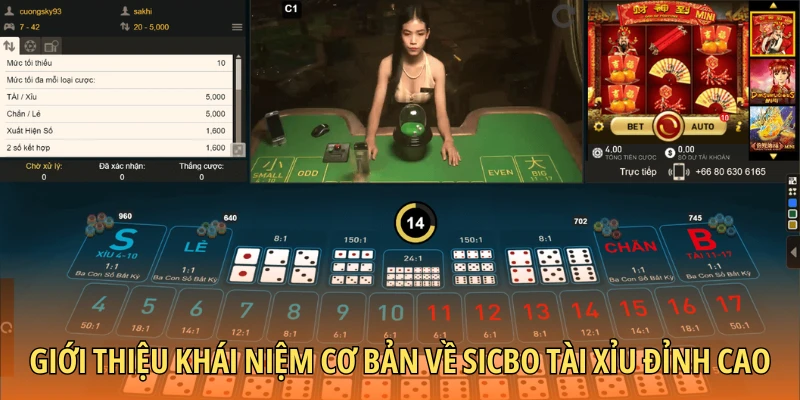Giới thiệu khái niệm cơ bản về Sicbo Tài Xỉu đỉnh cao