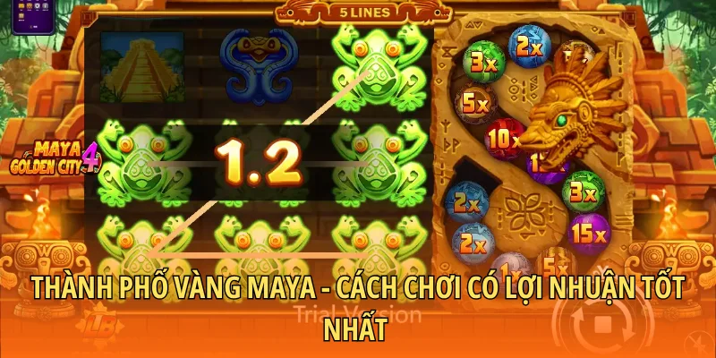 Thành phố vàng Maya