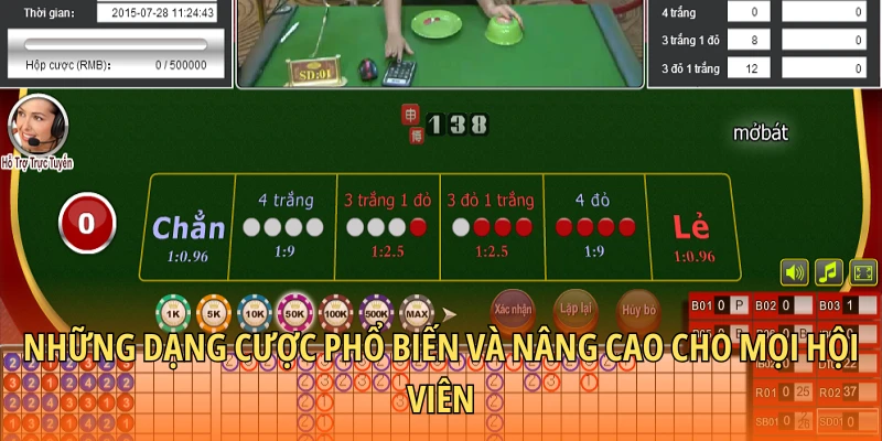 Những dạng cược phổ biến và nâng cao cho mọi hội viên