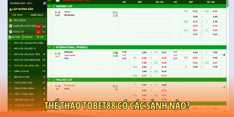 5 sảnh thể thao Tobet88 chính