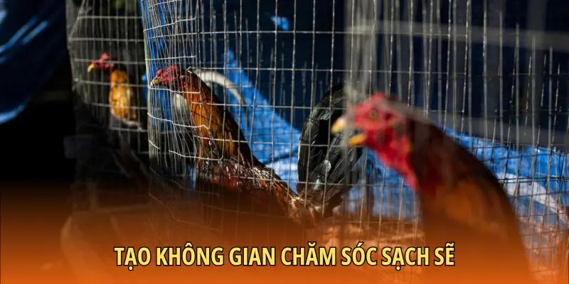 Tạo không gian chăm sóc sạch sẽ