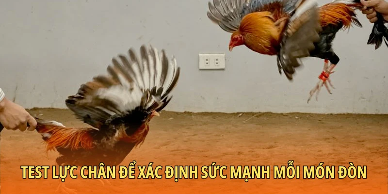 Test lực chân để xác định sức mạnh mỗi món đòn