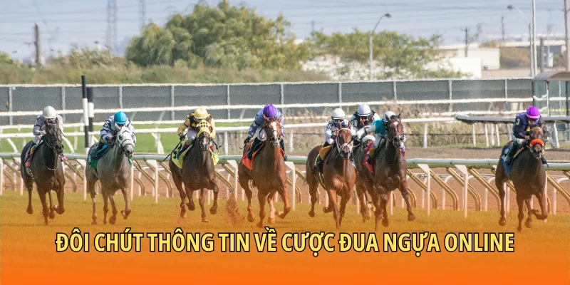 Đôi chút thông tin về cược đua ngựa online