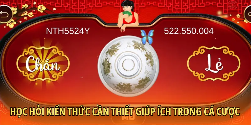 Học hỏi kiến thức cần thiết giúp ích trong cá cược