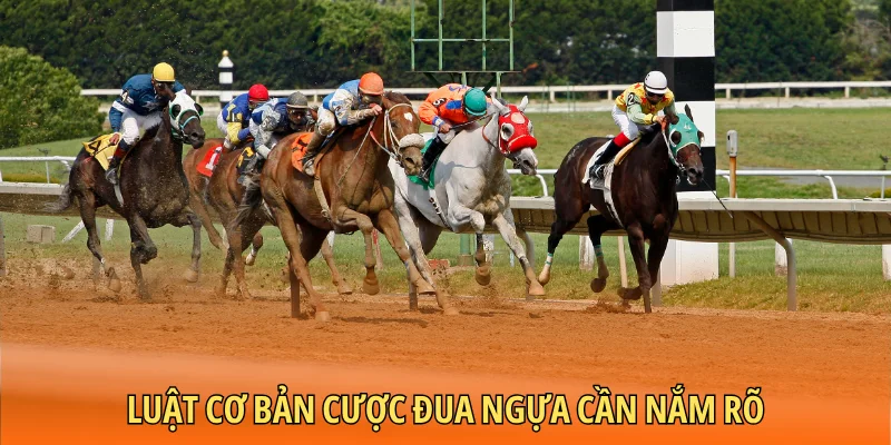 Luật cơ bản cược đua ngựa cần nắm rõ