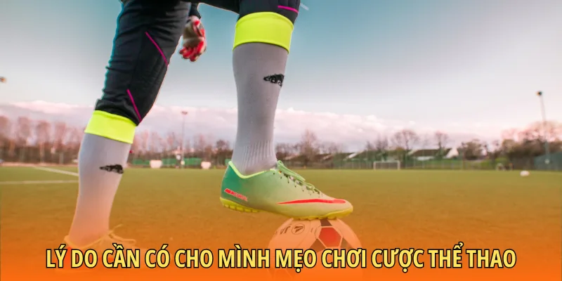 Lý do cần có cho mình mẹo chơi cược thể thao