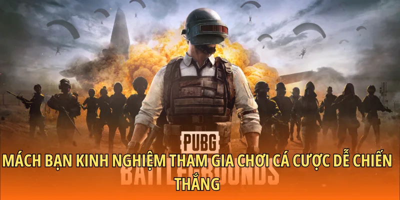 Mách bạn kinh nghiệm tham gia chơi cá cược dễ chiến thắng
