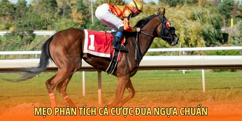 Mẹo phân tích cá cược đua ngựa chuẩn
