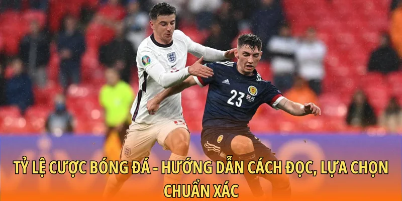 Tỷ lệ cược bóng đá